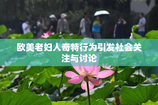 欧美老妇人奇特行为引发社会关注与讨论