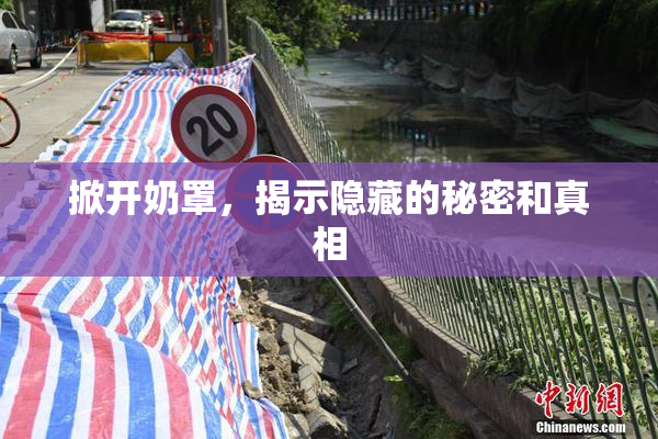 掀开奶罩，揭示隐藏的秘密和真相