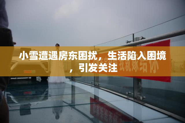 小雪遭遇房东困扰，生活陷入困境，引发关注