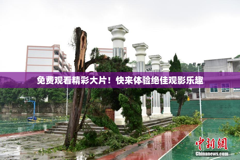 免费观看精彩大片！快来体验绝佳观影乐趣