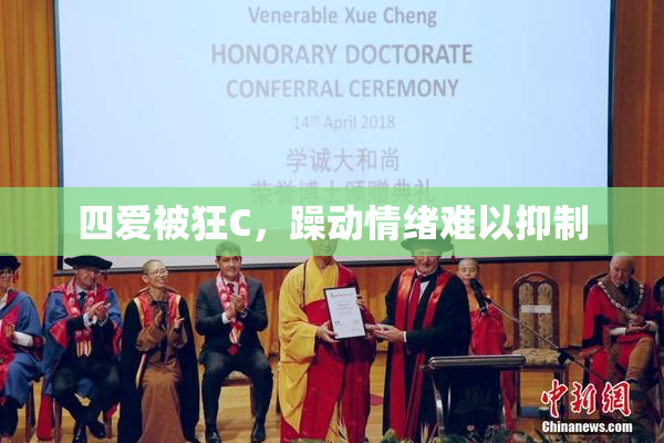 四爱被狂C，躁动情绪难以抑制