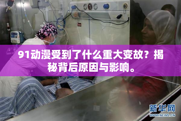 91动漫受到了什么重大变故？揭秘背后原因与影响。