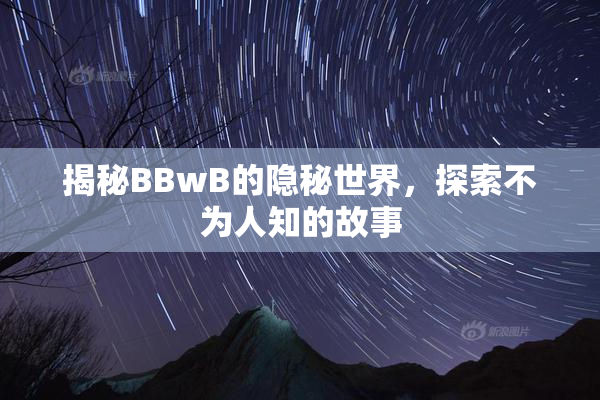 揭秘BBwB的隐秘世界，探索不为人知的故事