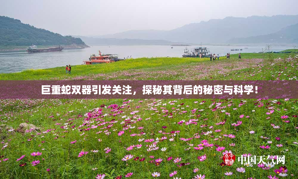 巨重蛇双器引发关注，探秘其背后的秘密与科学！
