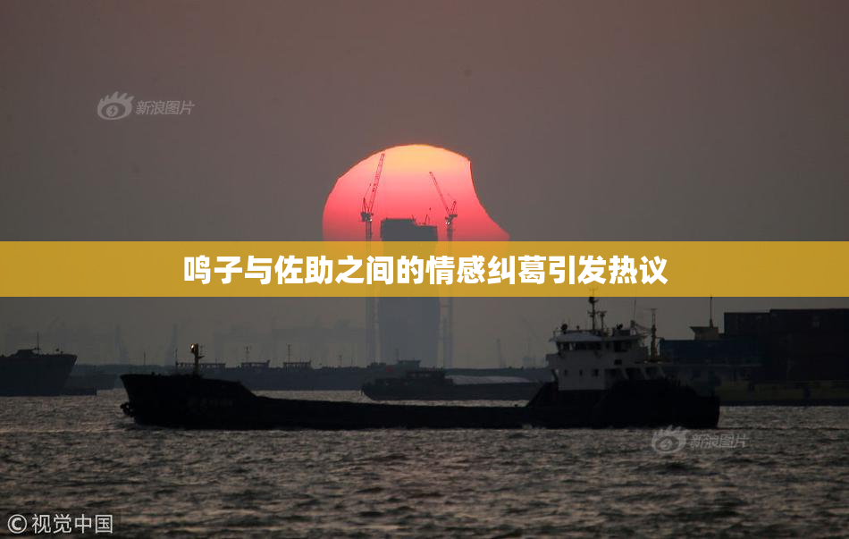 鸣子与佐助之间的情感纠葛引发热议