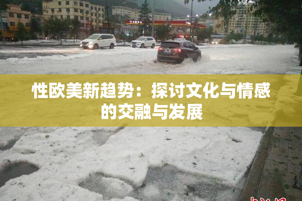 性欧美新趋势：探讨文化与情感的交融与发展