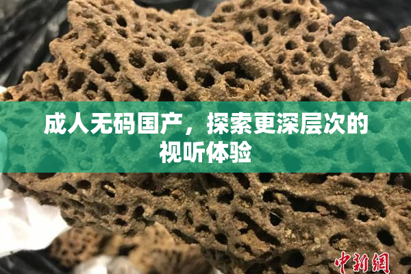 成人无码国产，探索更深层次的视听体验