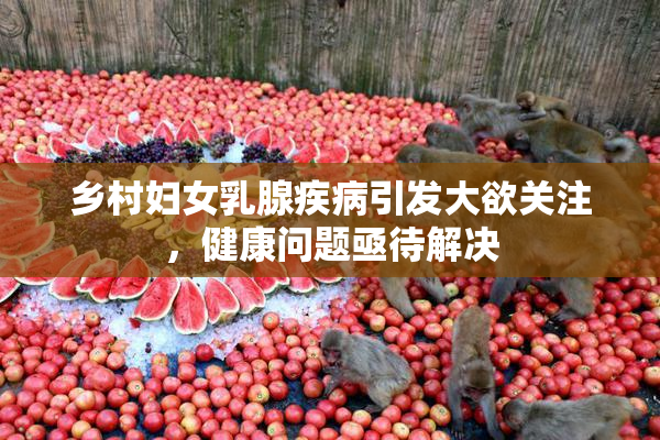 乡村妇女乳腺疾病引发大欲关注，健康问题亟待解决