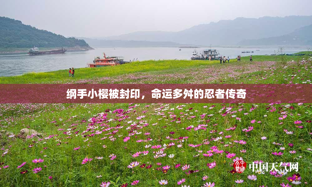 纲手小樱被封印，命运多舛的忍者传奇