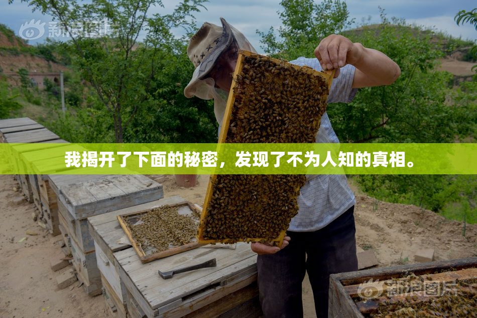 我揭开了下面的秘密，发现了不为人知的真相。