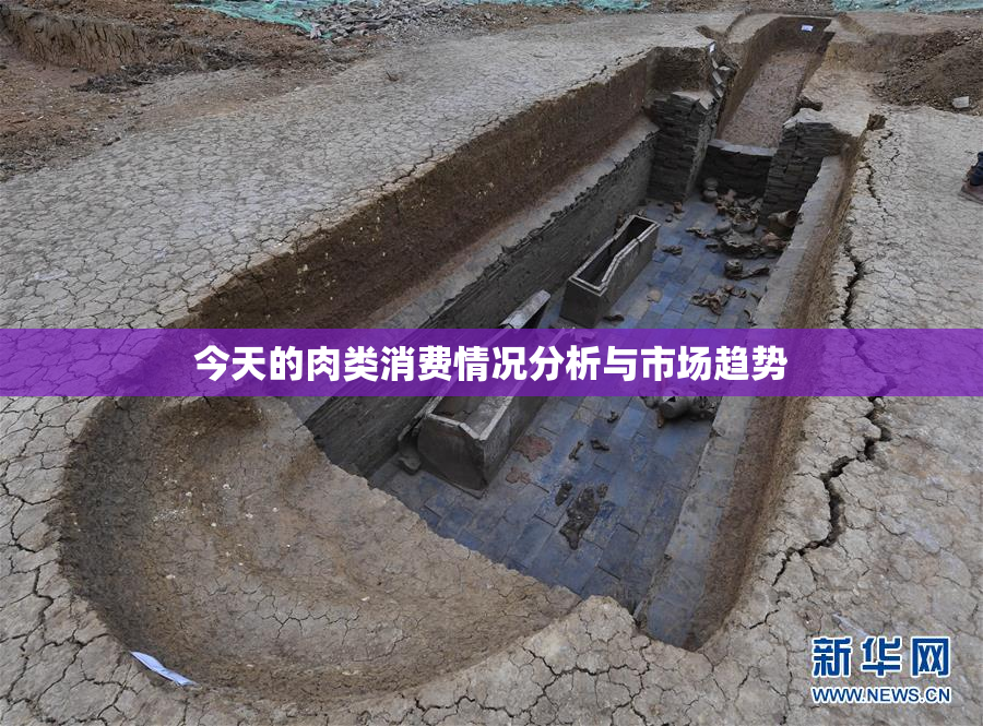 今天的肉类消费情况分析与市场趋势