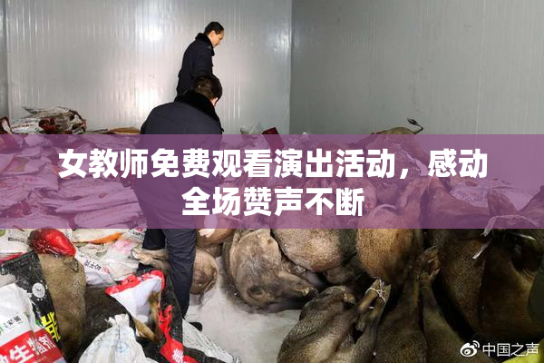 女教师免费观看演出活动，感动全场赞声不断