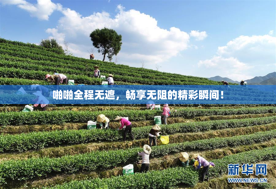 啪啪全程无遮，畅享无阻的精彩瞬间！