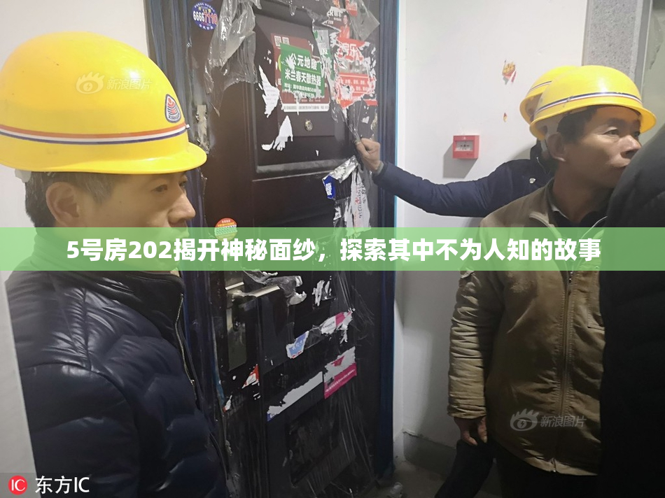5号房202揭开神秘面纱，探索其中不为人知的故事