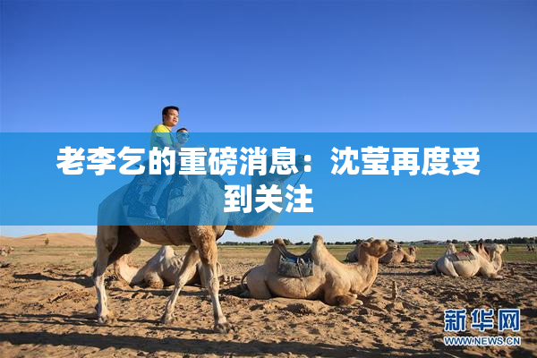 老李乞的重磅消息：沈莹再度受到关注