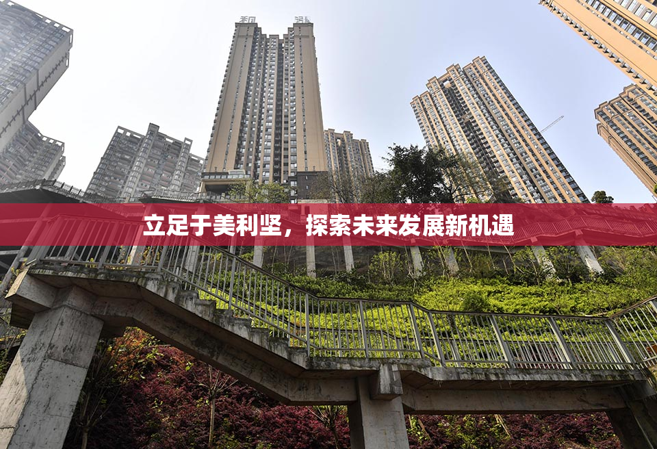 立足于美利坚，探索未来发展新机遇