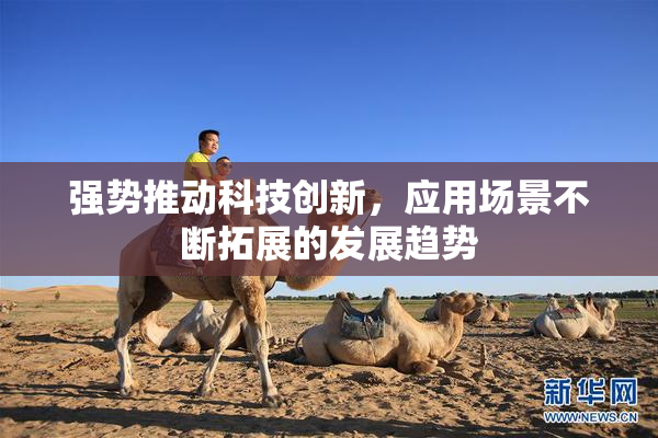 强势推动科技创新，应用场景不断拓展的发展趋势