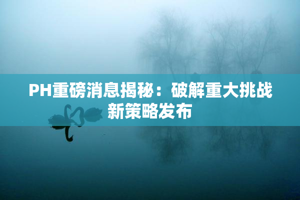 PH重磅消息揭秘：破解重大挑战新策略发布