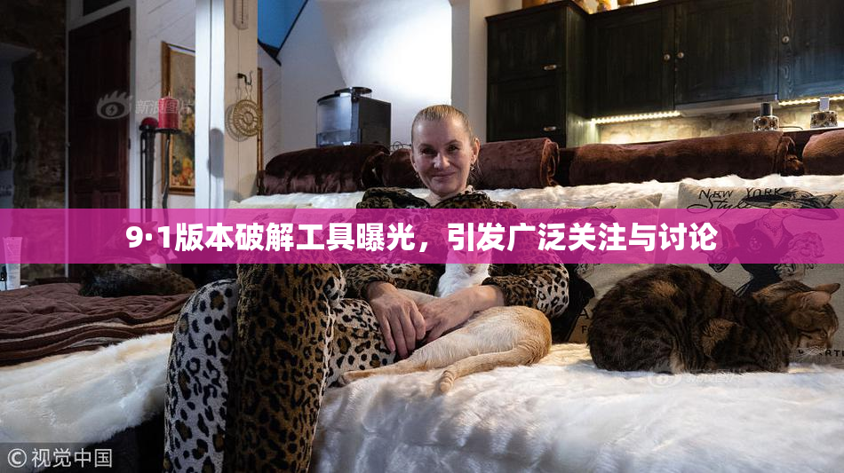 9·1版本破解工具曝光，引发广泛关注与讨论