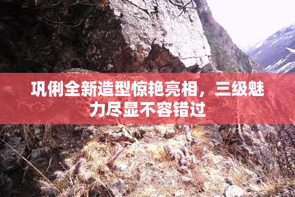 巩俐全新造型惊艳亮相，三级魅力尽显不容错过