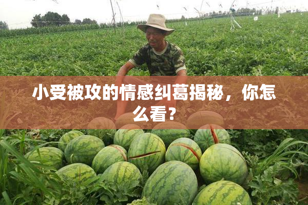 小受被攻的情感纠葛揭秘，你怎么看？