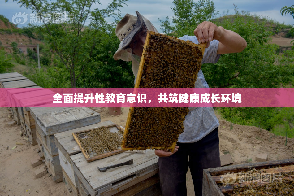 全面提升性教育意识，共筑健康成长环境