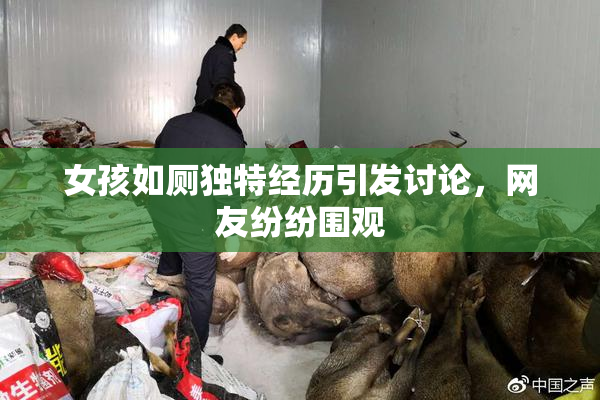 女孩如厕独特经历引发讨论，网友纷纷围观