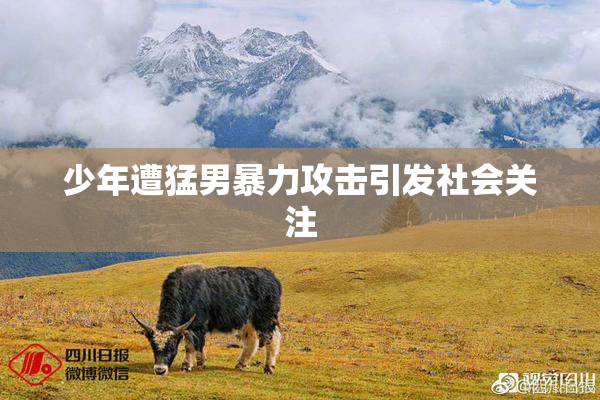 少年遭猛男暴力攻击引发社会关注