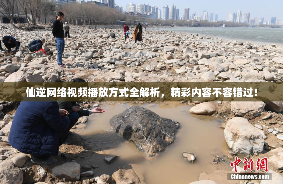 仙逆网络视频播放方式全解析，精彩内容不容错过！