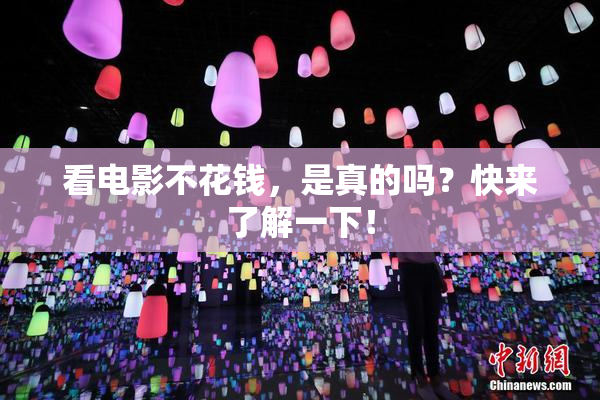 看电影不花钱，是真的吗？快来了解一下！