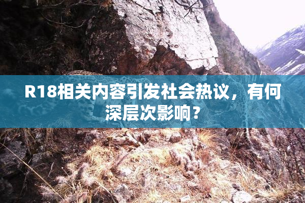 R18相关内容引发社会热议，有何深层次影响？