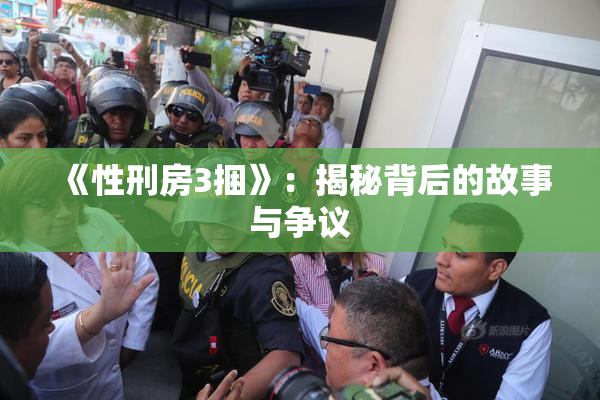 《性刑房3捆》：揭秘背后的故事与争议