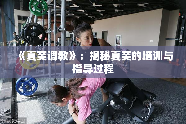 《夏芙调教》：揭秘夏芙的培训与指导过程
