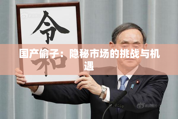 国产偷子：隐秘市场的挑战与机遇