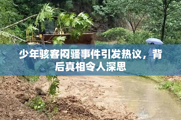 少年骇客闷骚事件引发热议，背后真相令人深思