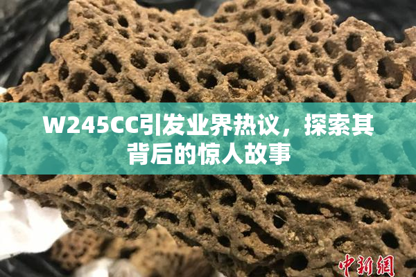 W245CC引发业界热议，探索其背后的惊人故事
