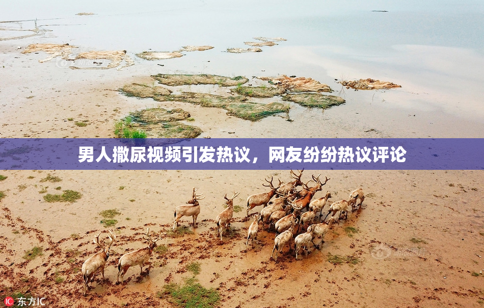 男人撒尿视频引发热议，网友纷纷热议评论