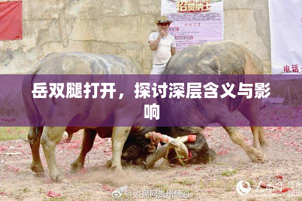 岳双腿打开，探讨深层含义与影响