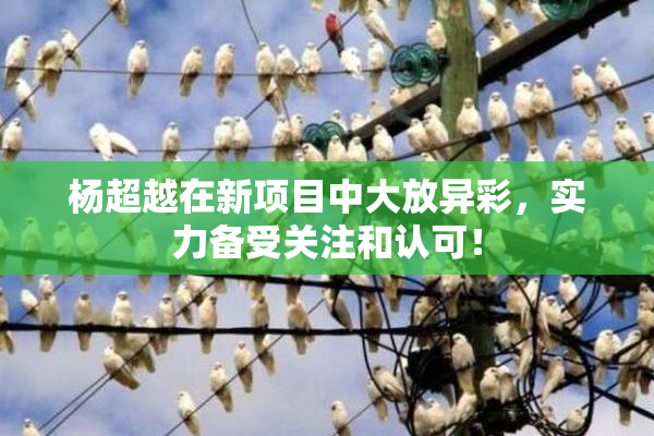 杨超越在新项目中大放异彩，实力备受关注和认可！
