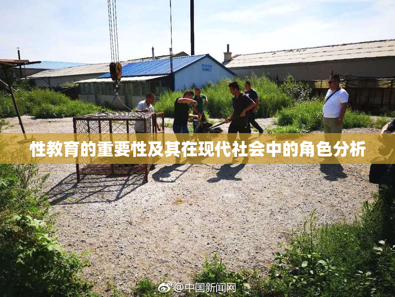 性教育的重要性及其在现代社会中的角色分析