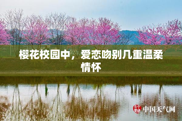 樱花校园中，爱恋吻别几重温柔情怀