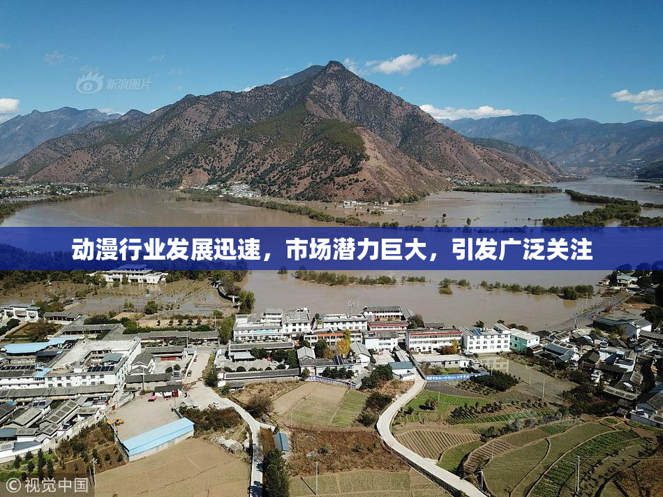 动漫行业发展迅速，市场潜力巨大，引发广泛关注