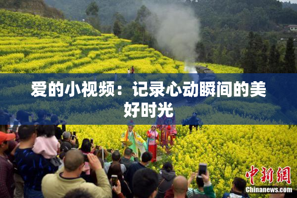爱的小视频：记录心动瞬间的美好时光