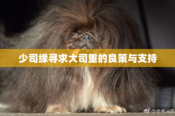 少司缘寻求大司重的良策与支持
