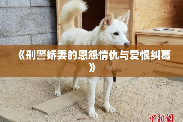 《刑警娇妻的恩怨情仇与爱恨纠葛》