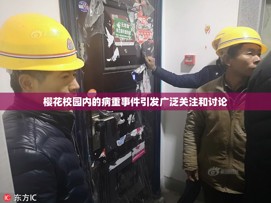 樱花校园内的病重事件引发广泛关注和讨论