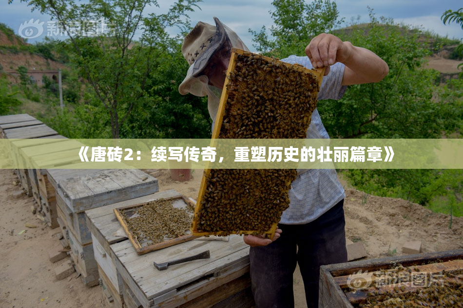 《唐砖2：续写传奇，重塑历史的壮丽篇章》