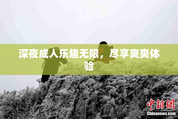 深夜成人乐趣无限，尽享爽爽体验