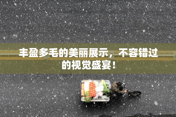 丰盈多毛的美丽展示，不容错过的视觉盛宴！