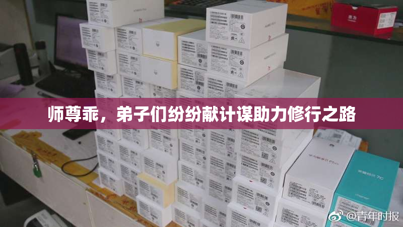 师尊乖，弟子们纷纷献计谋助力修行之路